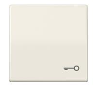 Jung Jung Interrupteur à bascule symbole PORTE blanc pour bouton-poussoir AS 591 T Quantité:1