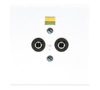 Jung Jung Prise d’équilibrage de potentiel 2 broches LS 965-2 WW Quantité:1