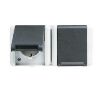 Jung Prise de courant 8220W double - cadre saillie gris