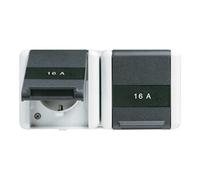 Jung Jung Prise SCHUKO double IP44 avec niveau 8220 KINAW Quantité:1