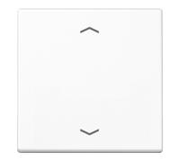 Jung Jung Symbole de bascule aws pour bouton-poussoir A 590 P WW Quantité:1