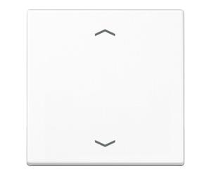 Jung Jung Symbole de bascule aws pour bouton-poussoir A 590 P WW Quantité:1