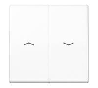 Jung Jung Symbole de bascule aws pour bouton-poussoir AS 591-5 P WW Quantité:1