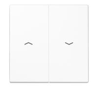 Jung Jung Symbole de bascule aws pour bouton-poussoir LS 995 P WW Quantité:1