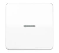 Jung Jung Wippe à fibre optique aws pour bouton-poussoir CD 590 KO5 WW Quantité:1
