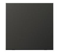 Jung Jung Wippe anthracite pour bouton-poussoir AL 2990 AN Quantité:1