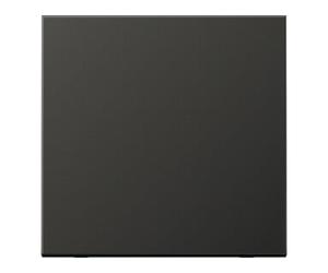 Jung Jung Wippe anthracite pour bouton-poussoir AL 2990 AN Quantité:1