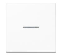 Jung Jung Wippe aws pour interrupteur de contrôle A 590 KO5 WW Quantité:1