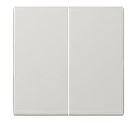 JUNG Bascule pour bouton-poussoir LS995LG Ba 2-F. (LS990) gris clair, Bouton + interrupteur, Gris