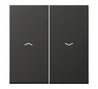 Jung Jung Wippe Symboles anthracite pour bouton-poussoir AL 2995 P AN Quantité:1