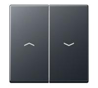 Jung Jung Wippe Symboles Flèches 2x anthracite mat A 595 BF P ANM Quantité:1