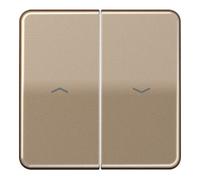 Jung Jung Wippe Symboles or brz pour bouton-poussoir CD 595 P GB Quantité:1
