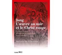 Jung, l'oeuvre au noir et le Christ en rouge Le Livre Rouge, Révolution thérapeutique et spirituelle ? - Bertrand De La Vaissiere - Terre Noire - broché - Essai