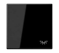 JUNG LS990LSW Touche Simple avec Symbole lumière, Durable laqué, Noir