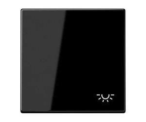JUNG LS990LSW Touche Simple avec Symbole lumière, Durable laqué, Noir