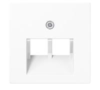 JUNG plaque centrale UAE/IAE 2f A500 incassable ws glz