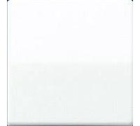 JUNG Rocker, Bouton + interrupteur, Blanc