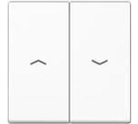 JUNG Rocker, Bouton + interrupteur, Blanc