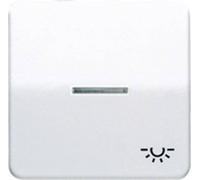 Jung simple Cache Bascule symbole \ éclairage\ blanc-alpin CD590KO5LWW 1 pc(s)