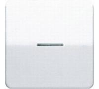 Jung simple Cache Interrupteur avec témoin lumineux, Bouton-poussoir avec