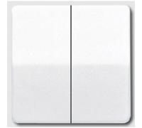 Jung simple Cache Interrupteur pour gamme, Bouton-poussoir pour gamme