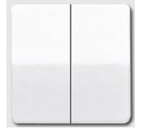 Jung simple Cache Interrupteur pour gamme, Bouton-poussoir pour gamme blanc-alpin CD595WW 1 pc(s)