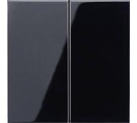 Jung simple Cache Interrupteur pour gamme, Bouton-poussoir pour gamme noir LS995SW 1 pc(s)