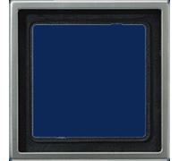 Jung simple Cadre Cache acier inoxydable ES2981 1 pc(s)