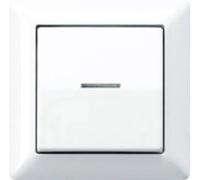 Jung simple Insert Bouton-poussoir blanc-alpin AS590KO5WW 1 pc(s)