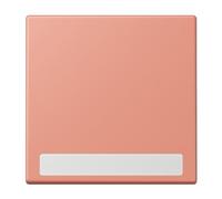 Jung Touche Simple avec Inscription LC32111 (référence LC990NA233)