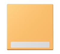 Jung Touche Simple avec Inscription LC4320L (référence LC990NA254)