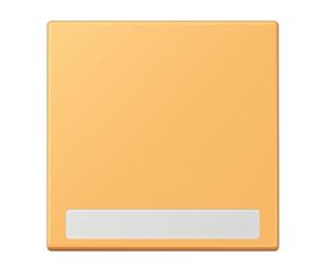 Jung Touche Simple avec Inscription LC4320L (référence LC990NA254)