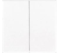 Jung x2 Cache Interrupteur pour gamme, Bouton-poussoir pour gamme blanc crème LS995 1 pc(s)