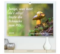 Junge, was hast du`s eilig (hochwertiger Premium Wandkalender 2026 DIN A2 quer), Kunstdruck in Hochglanz: Lustige Sprichwörter für Pilzfreunde