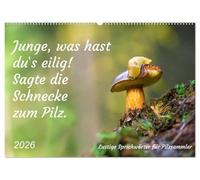 Junge, was hast du`s eilig (Wandkalender 2026 DIN A2 quer), CALVENDO Monatskalender: Lustige Sprichwörter für Pilzfreunde