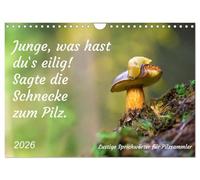 Junge, was hast du`s eilig (Wandkalender 2026 DIN A4 quer), CALVENDO Monatskalender: Lustige Sprichwörter für Pilzfreunde