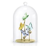 Jungle Beats Butterfly Bell Jar 5619219