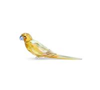 Jungle Beats Yellow Parakeet Lechee 5619217