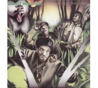 Jungle Brothers - Straight Out The Jungle [Import]
