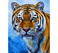 Jungobiu Peinture Par Numero Adulte Tigre, Toile Peinture à L'huile Acrylique Bête Bricolage numérique pour Enfants Adultes Peindre par Nombre Kits pour la Décoration de la Maison 40x50cm