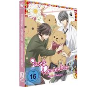 Junjo Romantica - 3. Staffel - Vol. 1 - Limited Edition mit Sammelbox [Édition Limitée]