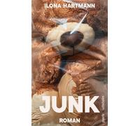 Junk Roman | Ein Roman über die Angst vor dem, was kommt, und die überraschende Versöhnung mit dem, was war - Ilona Hartmann - Ullstein eBooks - ebook (ePub) - Livre