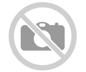 JUNKERS 8714500087 REMPLACEMENT SONDE DE TEMPÉRATURE THERMOMÉTRIQUE NTC POUR CHA