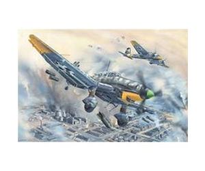 Junkers Ju-87d-5 Stuka - 1:24e - Trumpeter G