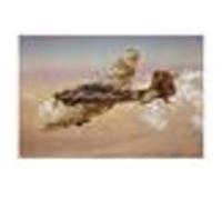 1:72 Italeri F 104 G RECCE STARFIGHTER KIT IT1296 Modellino