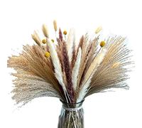 Junterone Lot de 60 Herbes de Pampa Naturelles SéChéEs 17,72 Pouces DéCoration d'herbe de Pampa, Fleurs SéChéEs, Fleurs SéChéEs Moelleuses