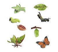 JunZheHub Coffret de Jeu sur Le Cycle de Vie Du Papillon, pour L'apprentissage Des Sciences Chez Les Enfants.
