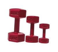 JunZheHub Ensemble de Jeu de Pièces, Haltères et Accessoires de Sport pour Maison de Poupée, Barre D'haltères Miniature et Kettlebell pour Maison de, Rouge