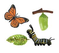 JunZheHub Le Cycle de Vie de Croissance D'abeille D'insecte D'enfants En Plastique Figure Des Jouets D'apprentissage D'éducation, Site E
