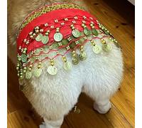 Jupe de danse du ventre pour chiens, costume drôle de danseuse du ventre pour chien, costume de corgi pour chiens, tenue secouant les hanches avec paillettes sur les fesses, écharpe, jupe de danseur